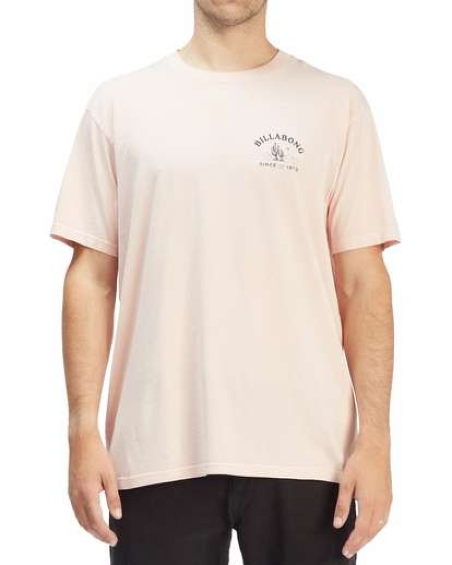 Clothing * | Billabong Leaves Wave Washed Short Sleeve T-Shirt Alpine