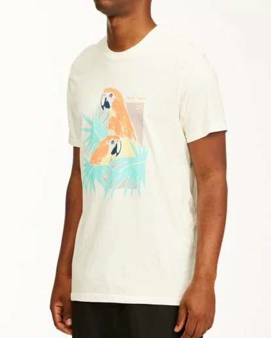 Tees * | Billabong Scarlet Short Sleeve Wave Washed T-Shirt Off White Off White (Ofw)