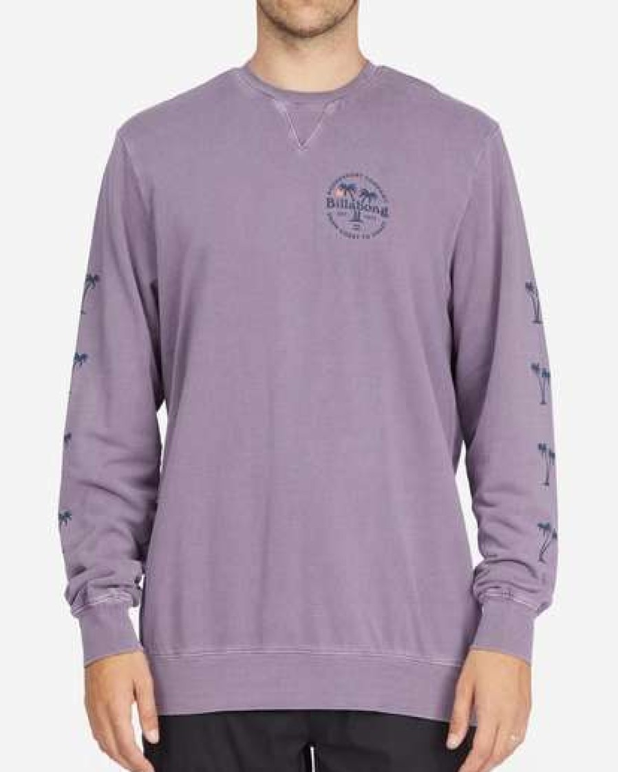 Hoodies & Fleece * | Billabong Wave Washed Coaster Crewneck Pullover Purple Haze Purple Haze (Phz)