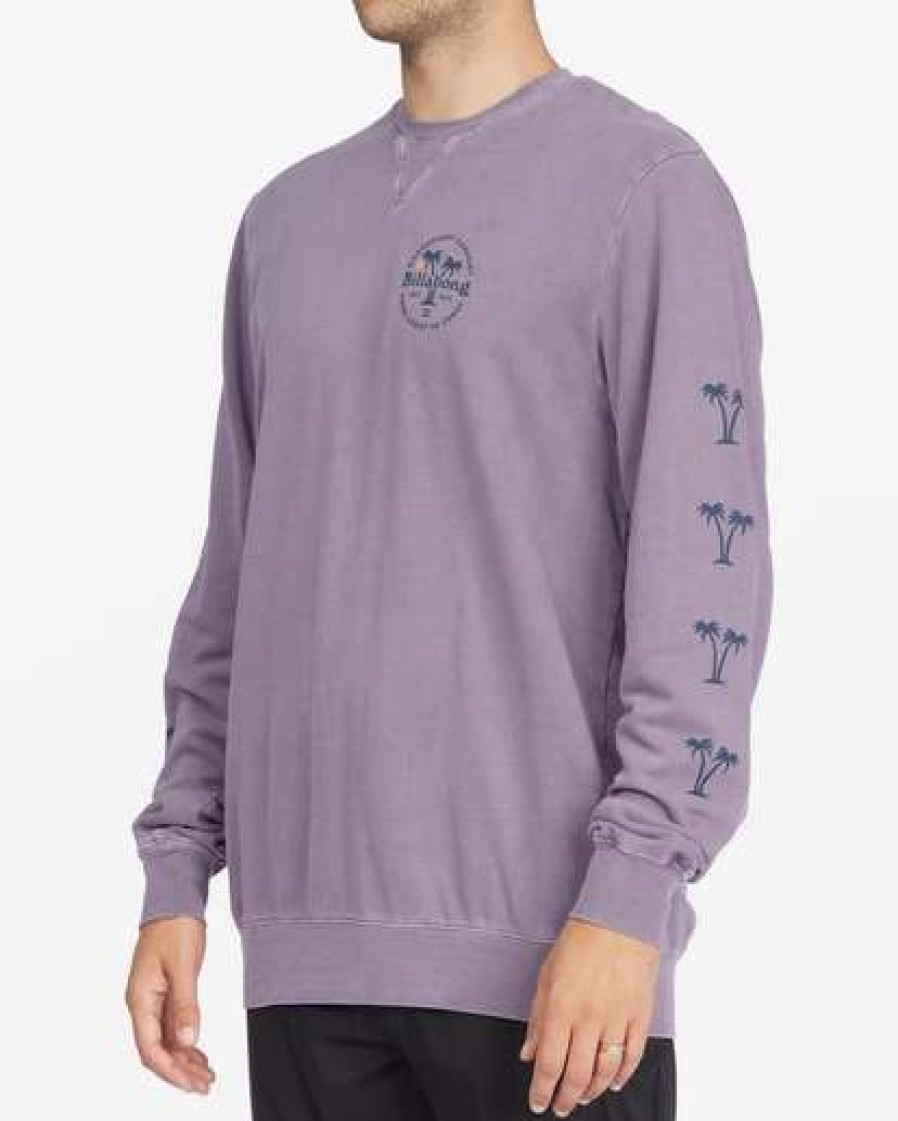 Hoodies & Fleece * | Billabong Wave Washed Coaster Crewneck Pullover Purple Haze Purple Haze (Phz)