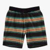 Shorts * | Billabong Flecker Sancho Short 19 Raven Raven (Rav)